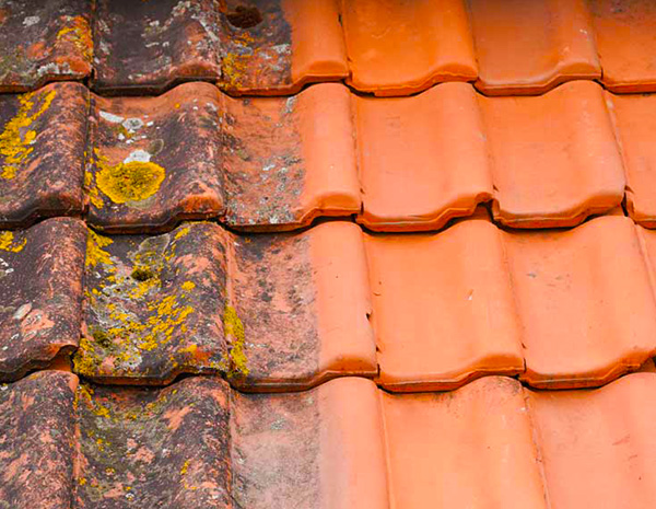 couvreur peintre ravalement vendée Chantonnay